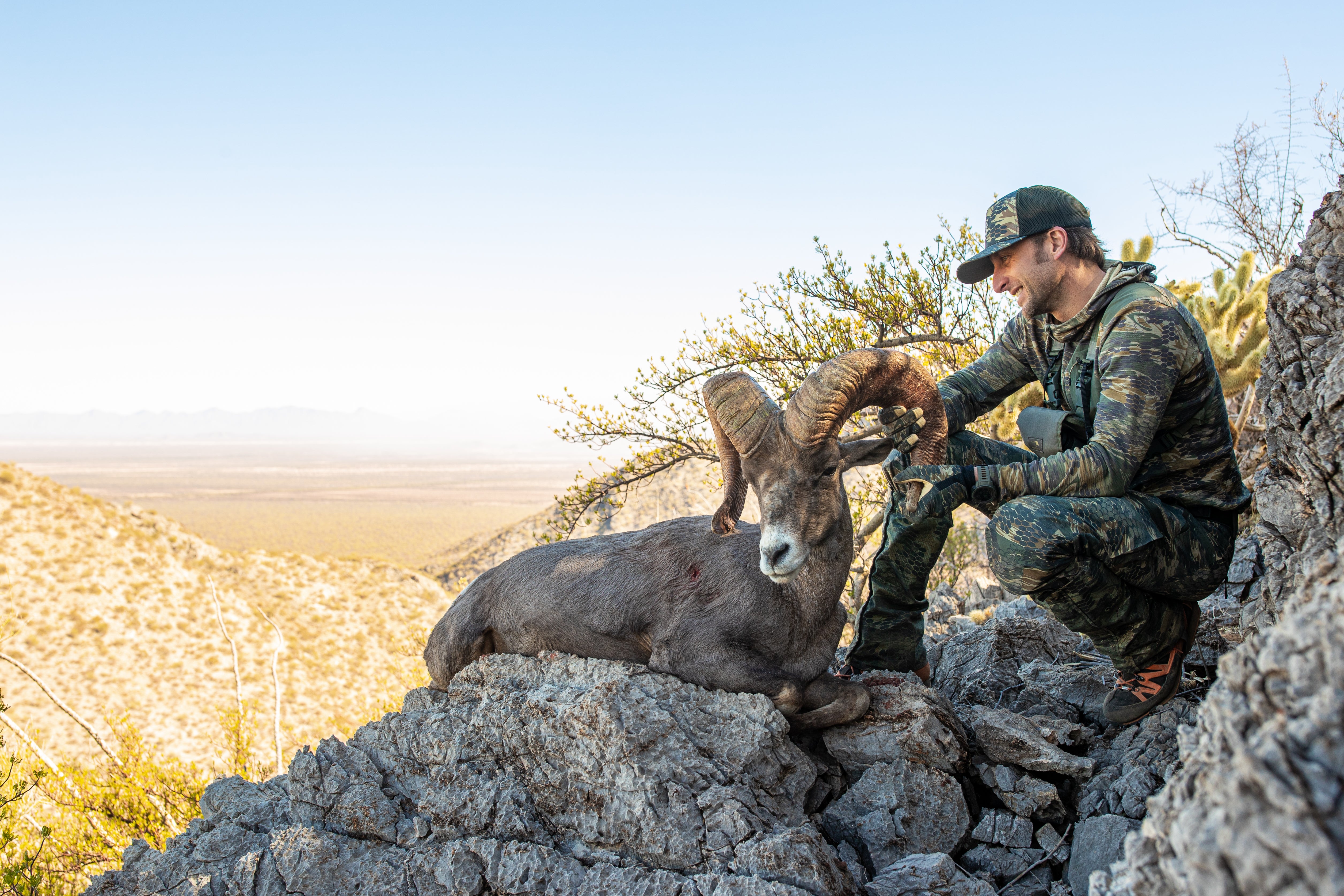 Sonora, Mexico: Hunting Desert Monarchs