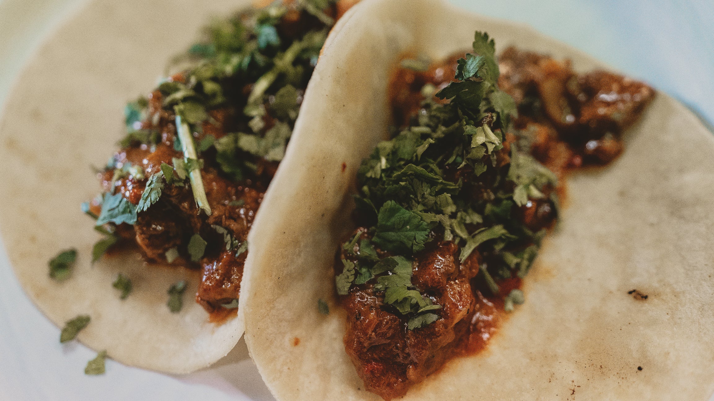 CANIS Cooks:  Aoudaddy Tacos