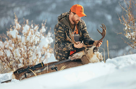 Mano a mano Mule Deer