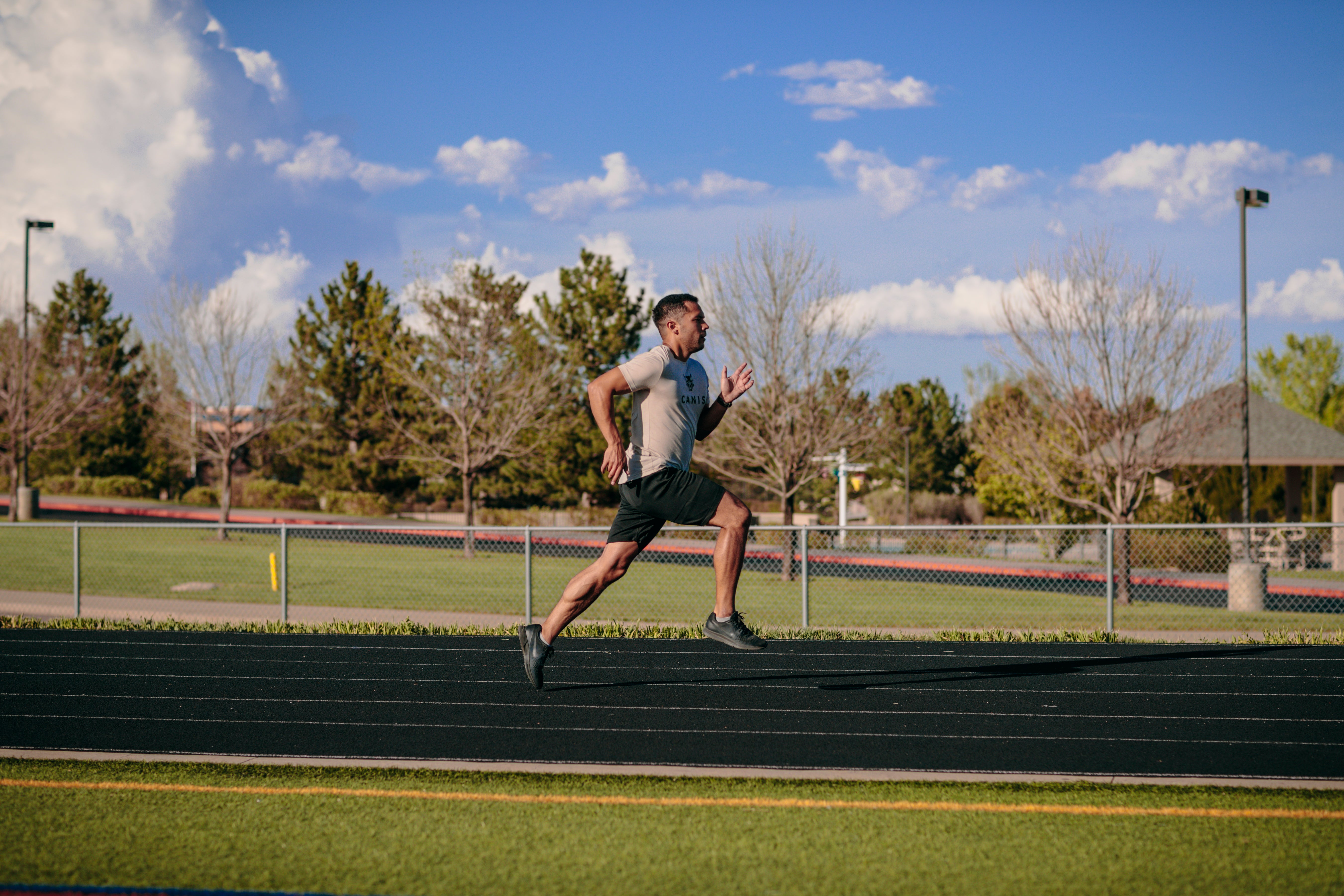 Canis Athlete Training: Workout #2 Run, Run, Run
