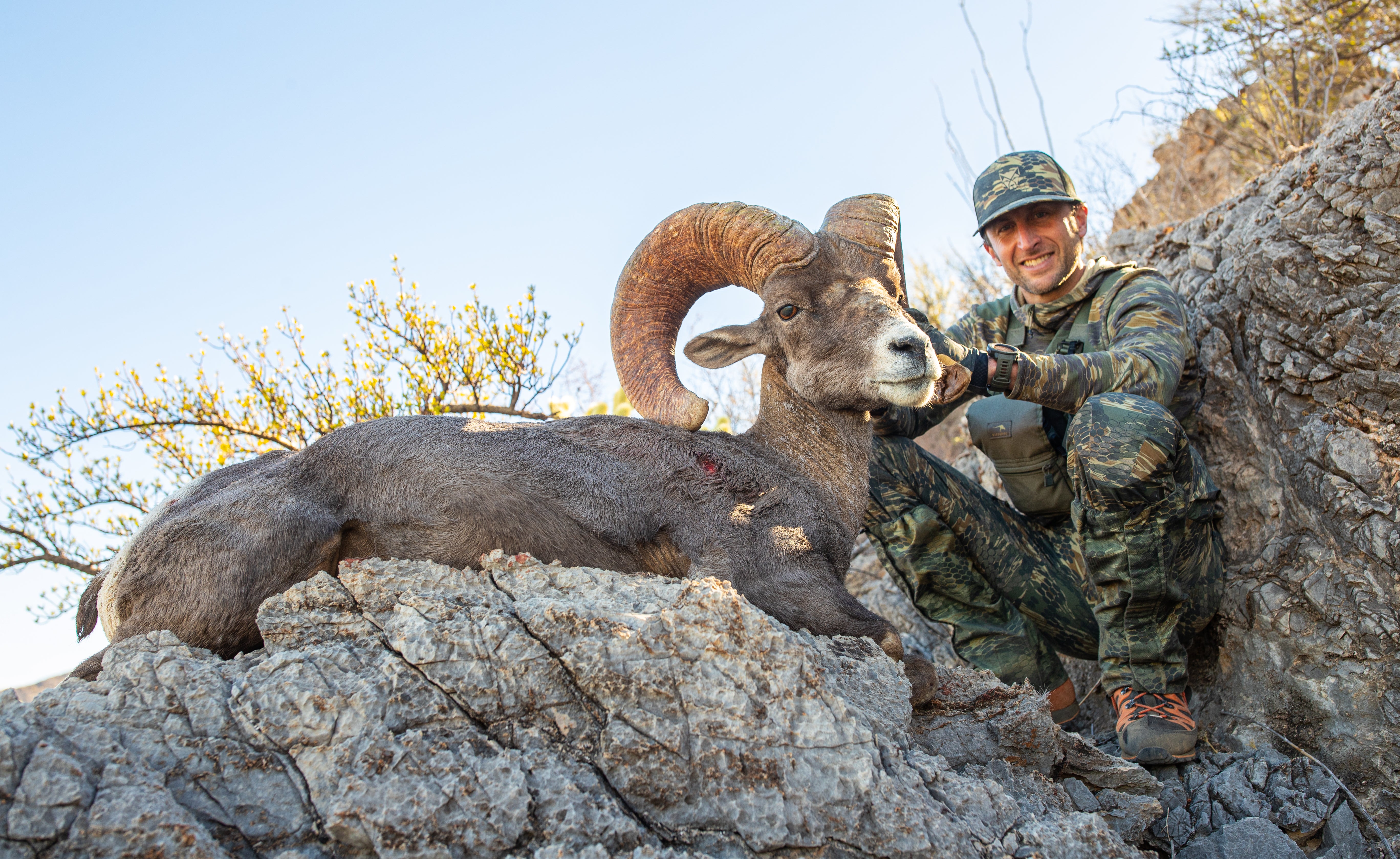Gear Drop:  Sheep Season 2022