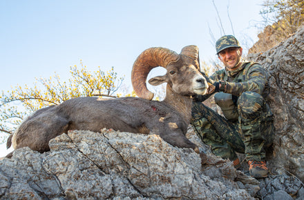 Gear Drop:  Sheep Season 2022