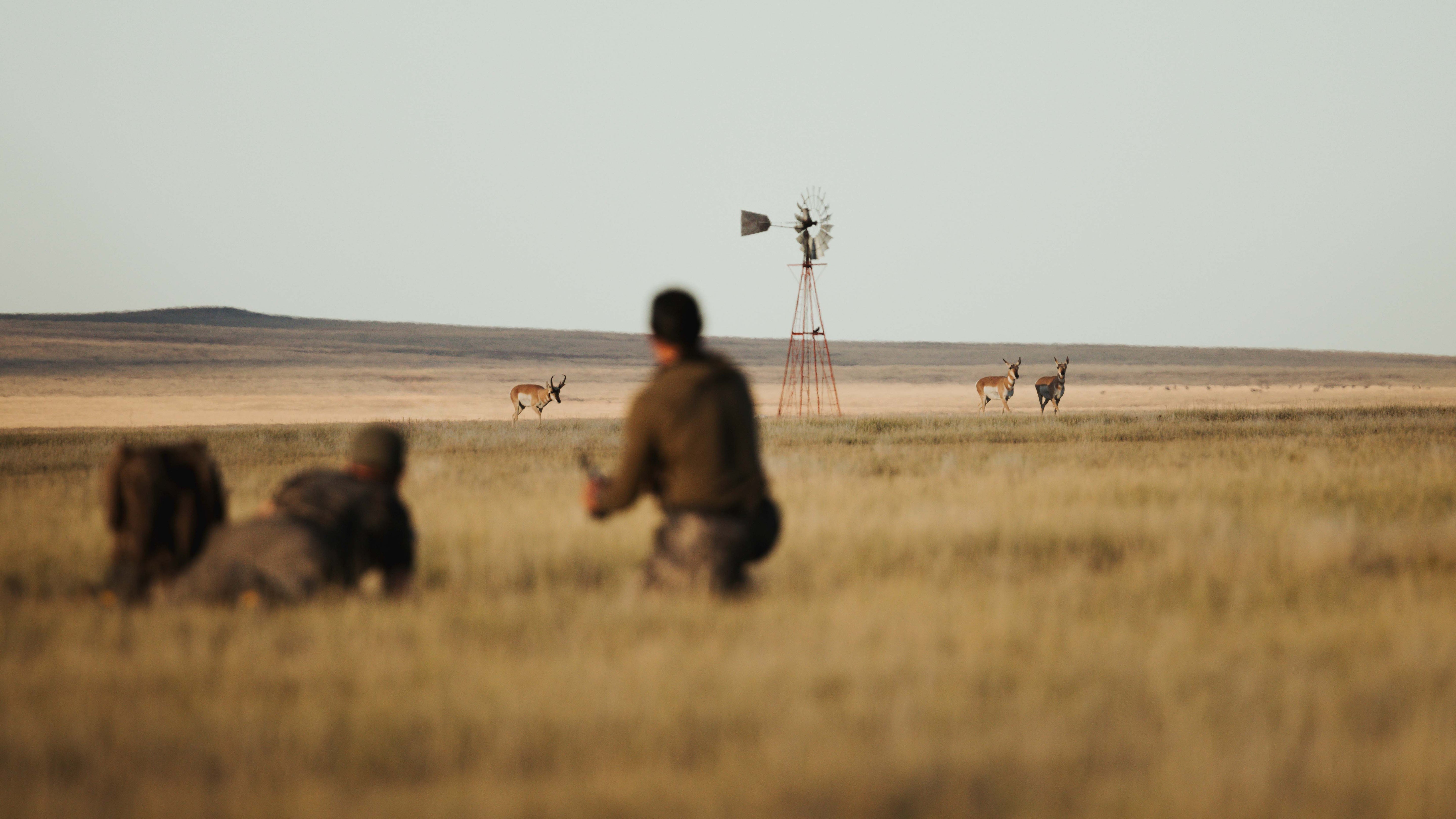 "Horns on the Horizon: A New Mexico Pronghorn Story"