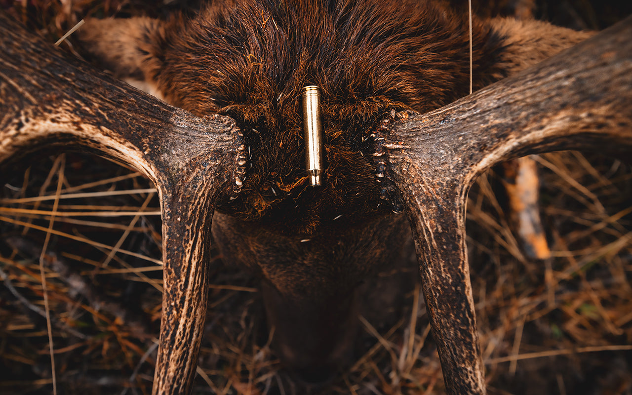 Chasing Bugles on a Wyoming Horseback Elk Hunt