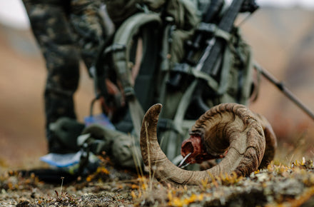 The Mountains Don’t Care: Why the 6 Ps of Sheep Hunting Matter More Than Ever