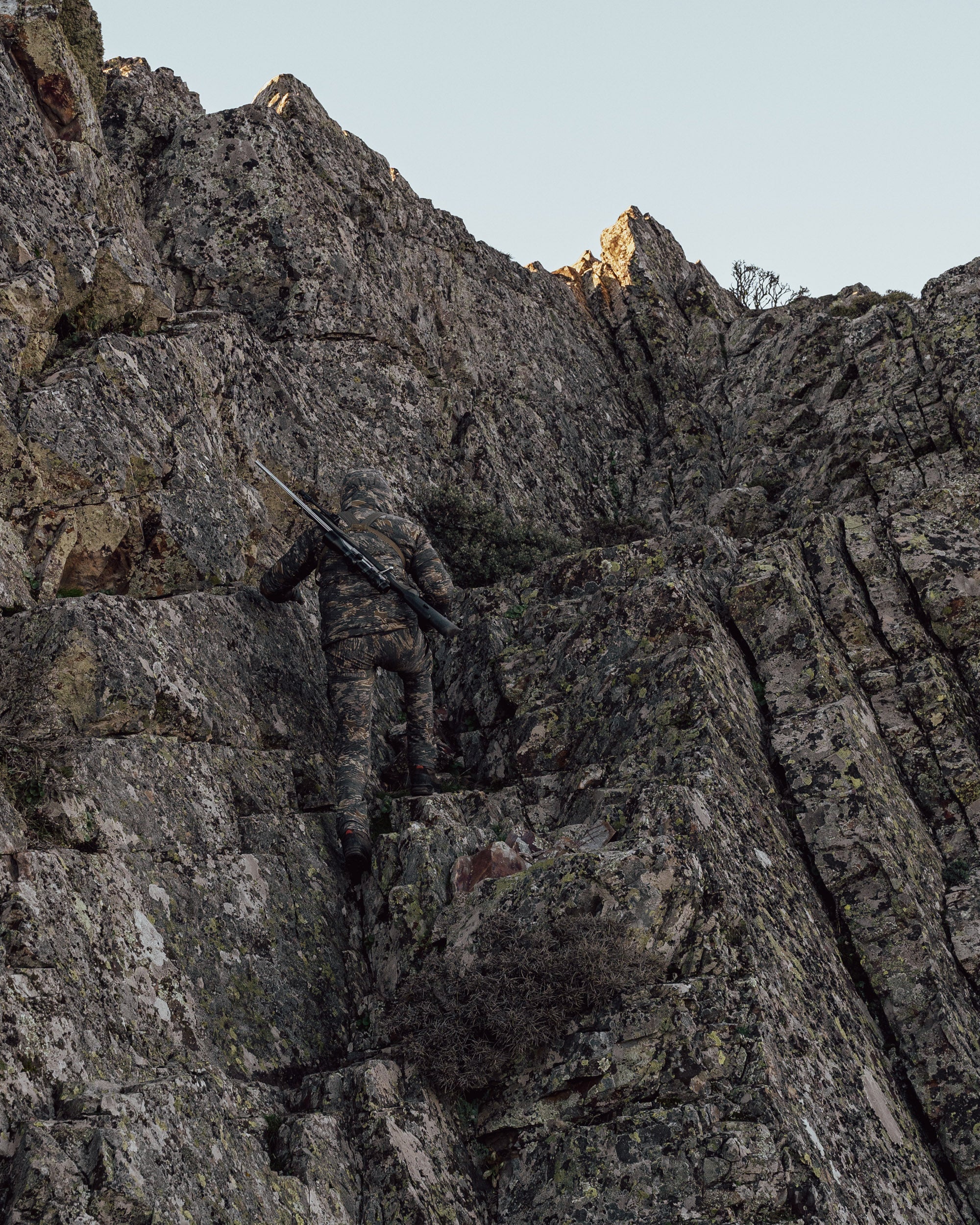 The Alpha Camo Advantage