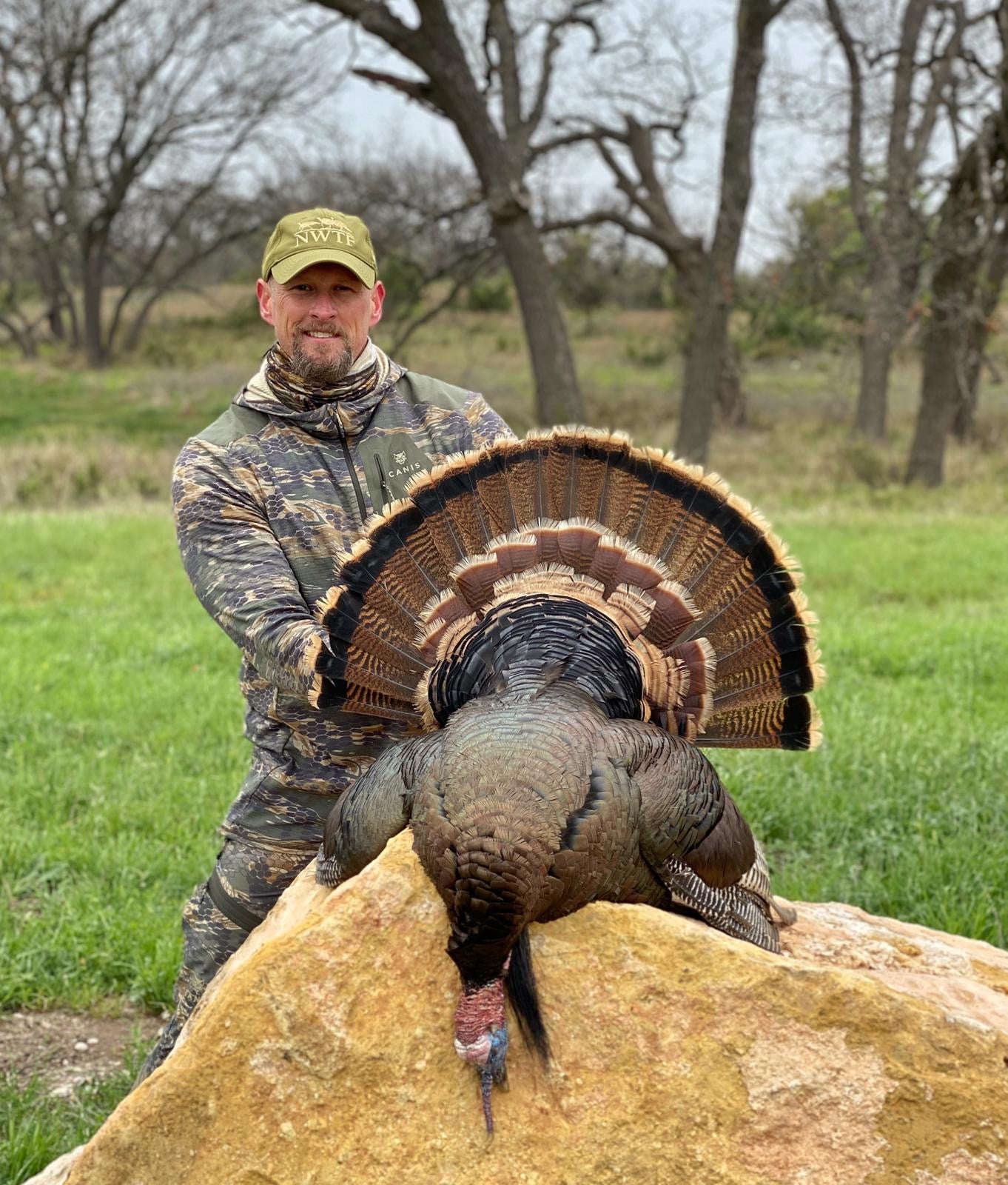 CANIS Cooks:  Soy-Ginger Glazed Turkey Breast