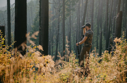 Timber Boars - An Oregon Black Bear Adventure