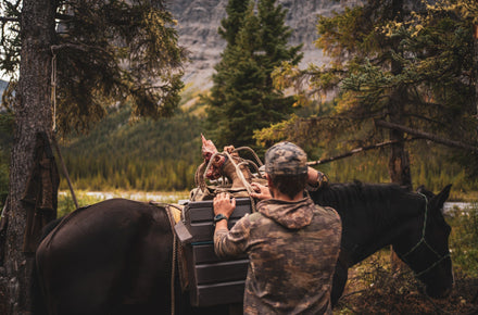 My Sheep Slam Journey