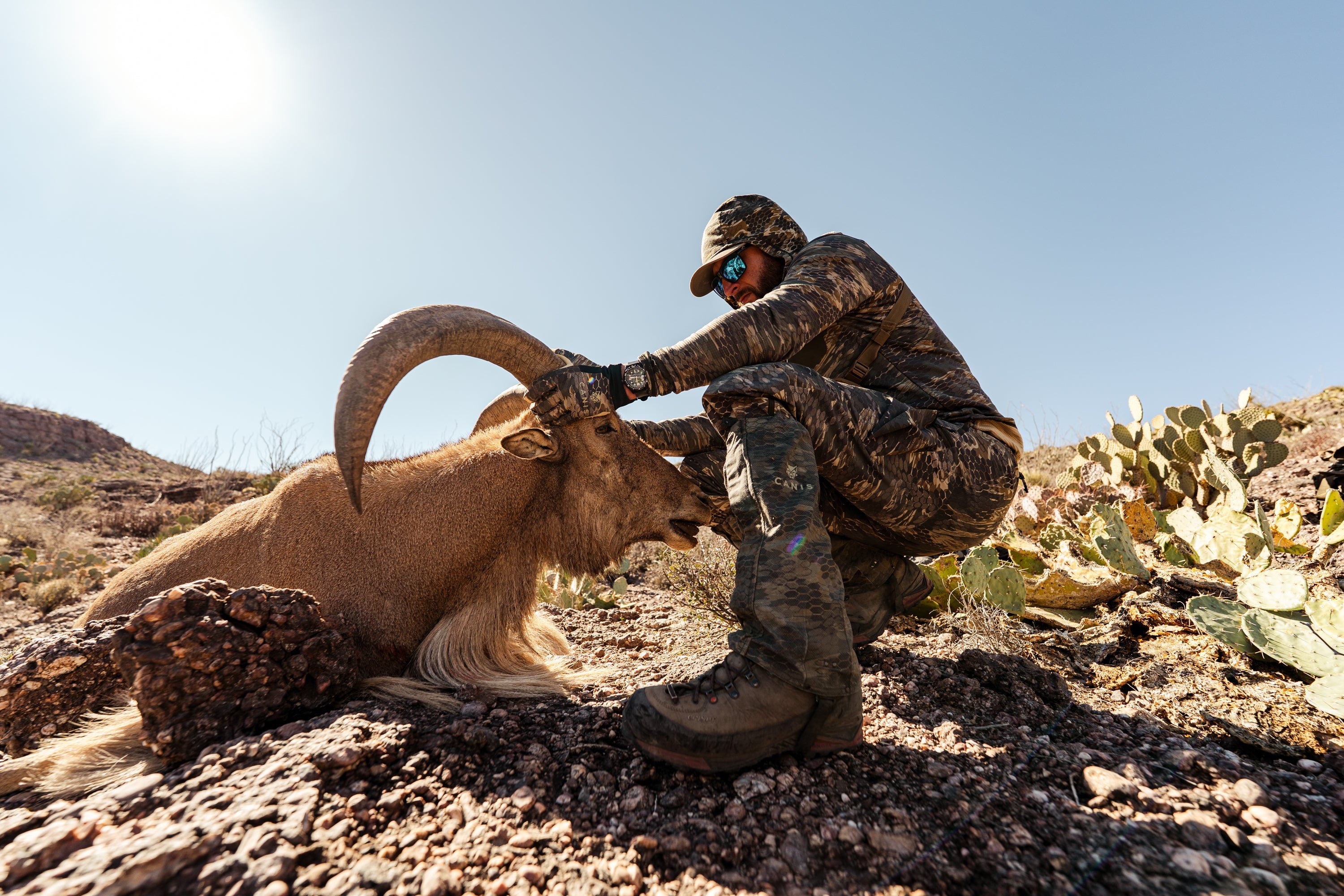 Pants