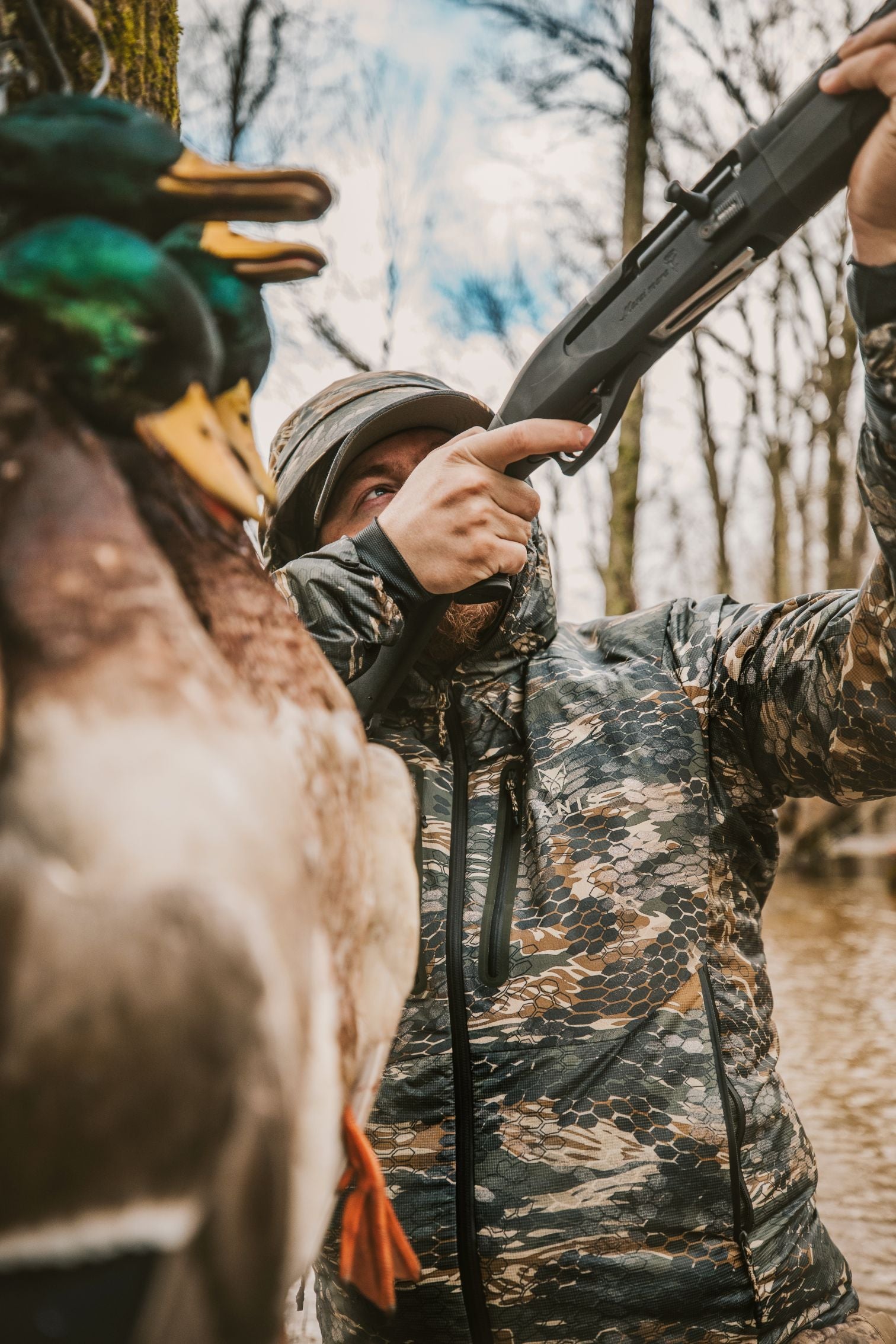 Waterfowl