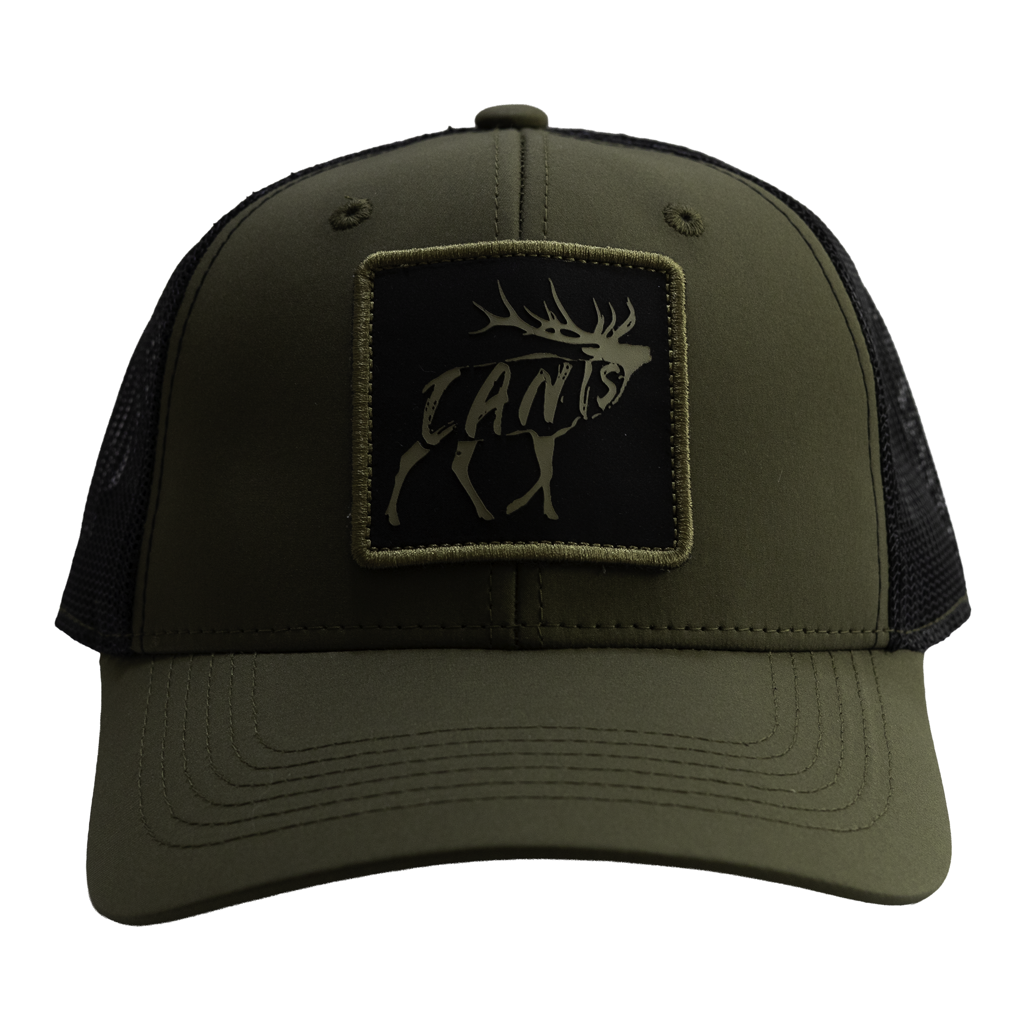 Olive