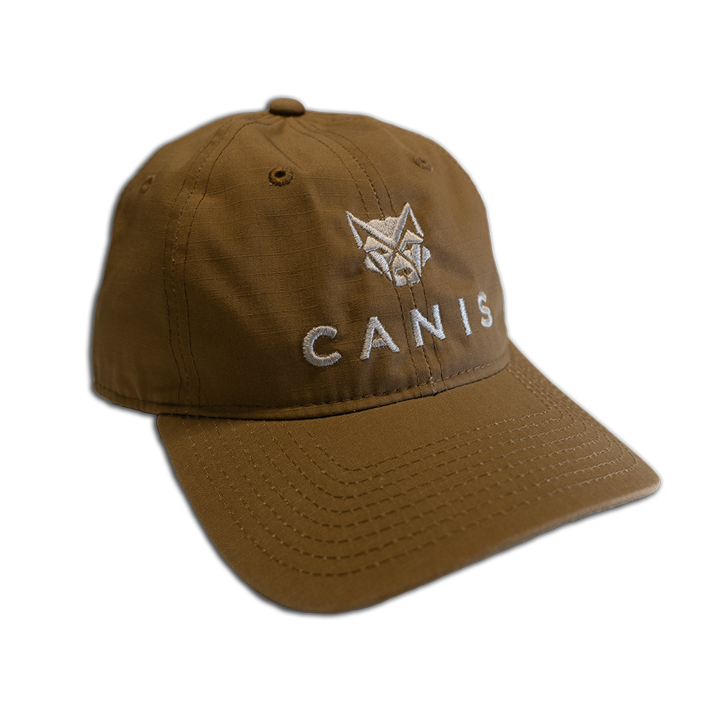 Coyote